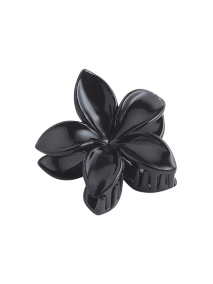 Pince fleur Vanilla Bloom noire brillante sur fond blanc